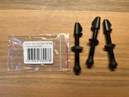 Tubeless Ventile DT Swiss