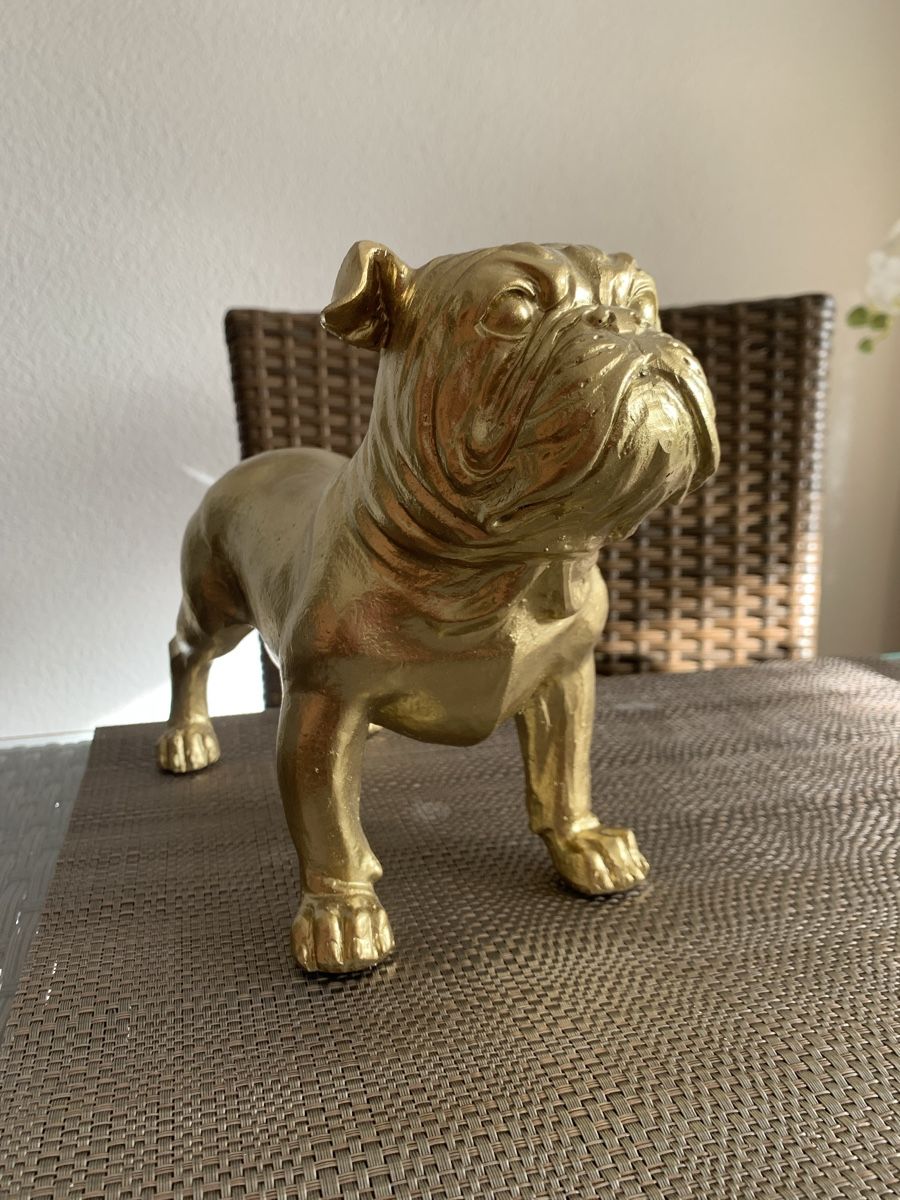 Statuette: Goldige Bulldogge – Nuovo (secondo la descrizione) da Emmenbrücke venduto da Dior09 2