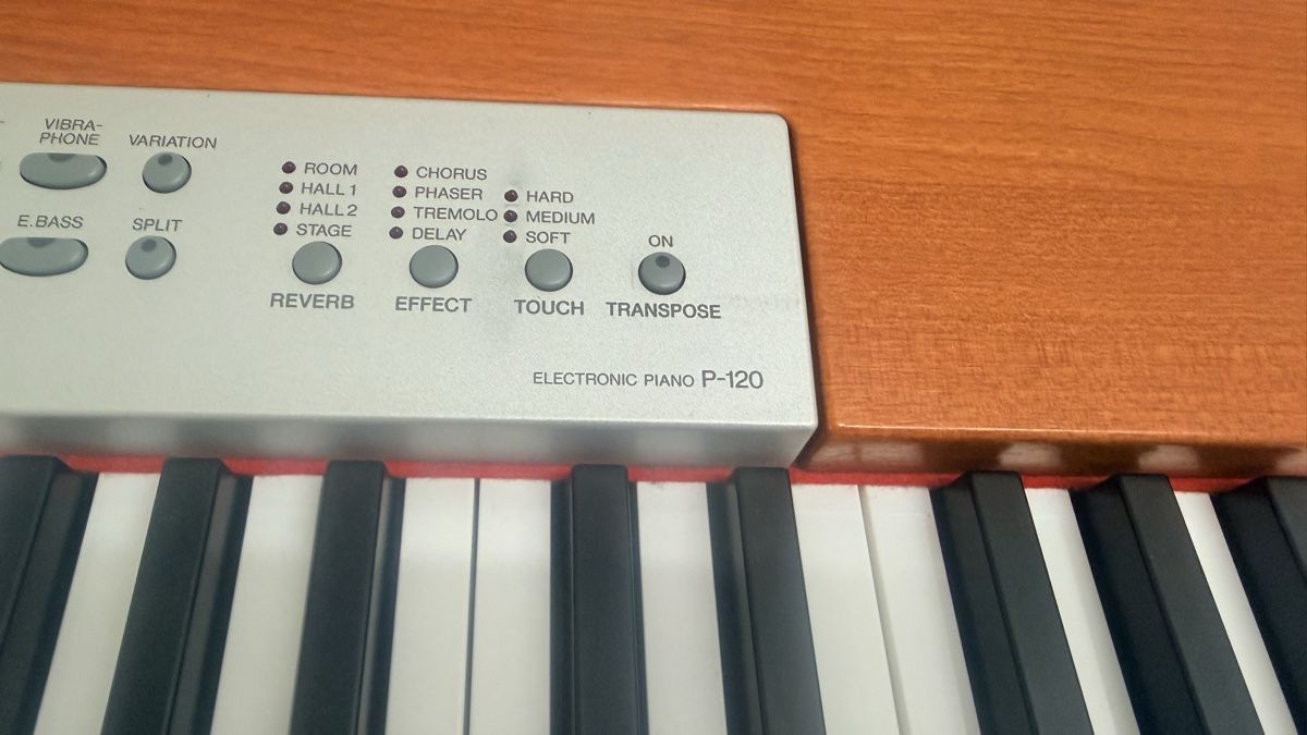 Yamaha Strumenti musicali: Yamaha P-120 Digital Piano – Usato da Rüti ZH venduto da nazaruch1 1