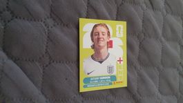Panini Sticker WM 2026 - ENG 15