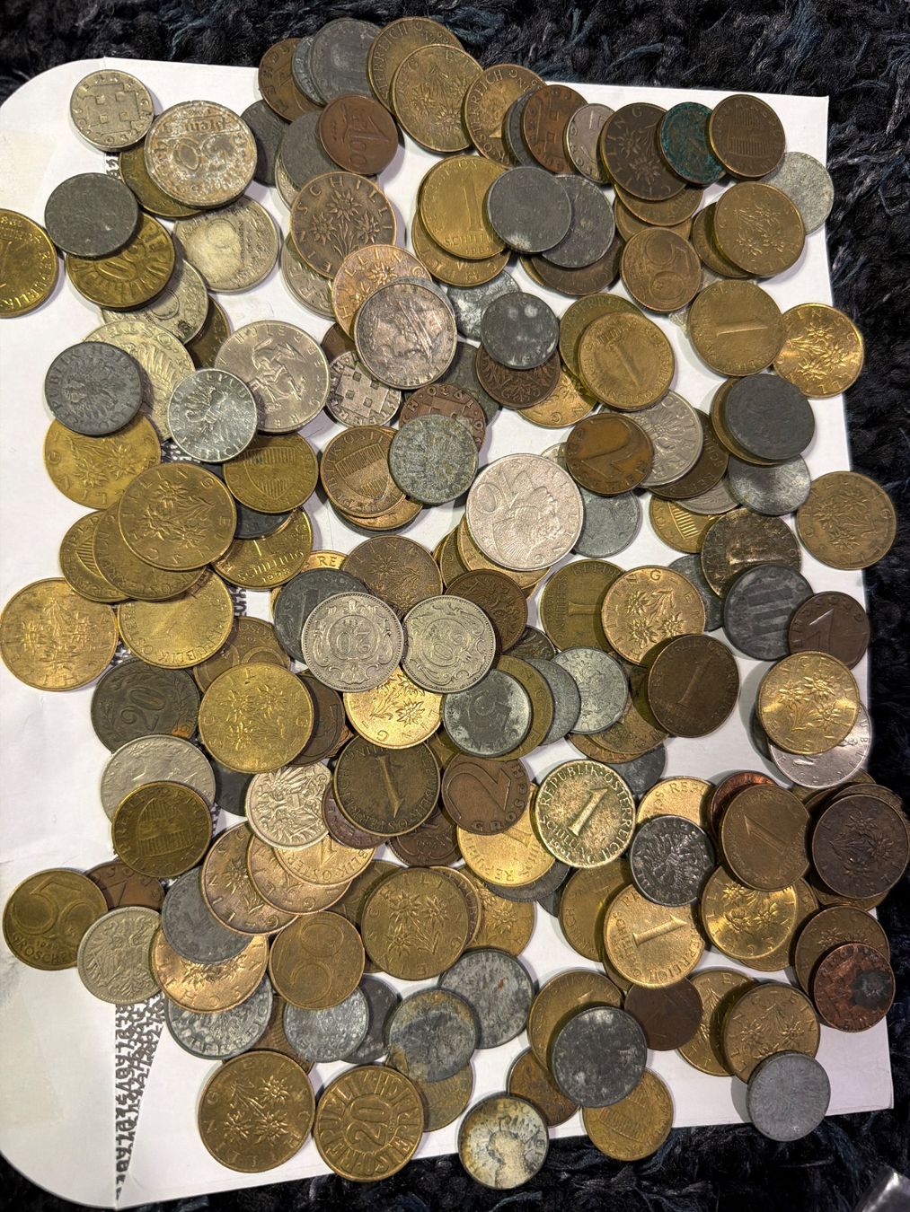 Tutti le monete: Osterreich münzen lot – Usato da Hittnau venduto da Pat_yl7f
