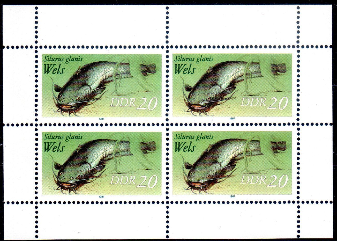 Alle Briefmarken: SÜSSWASSERFISCH WELS ** POSTFRISCH ** 4ERBLOCK 1987 - C766 – Neu (gemäss Beschreibung) aus Losone von EM2019