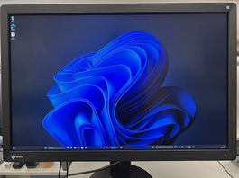 Monitor EIZO RadiForce RX650
