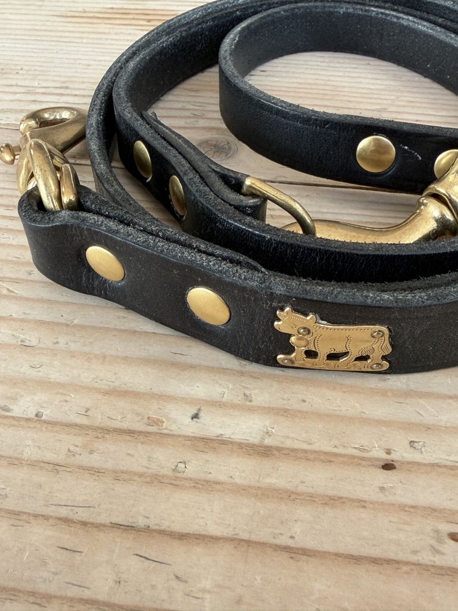 Leine & Halsband: Appenzeller Hundeleine Messing – Neu und originalverpackt aus Biel/Bienne von euro3000 4
