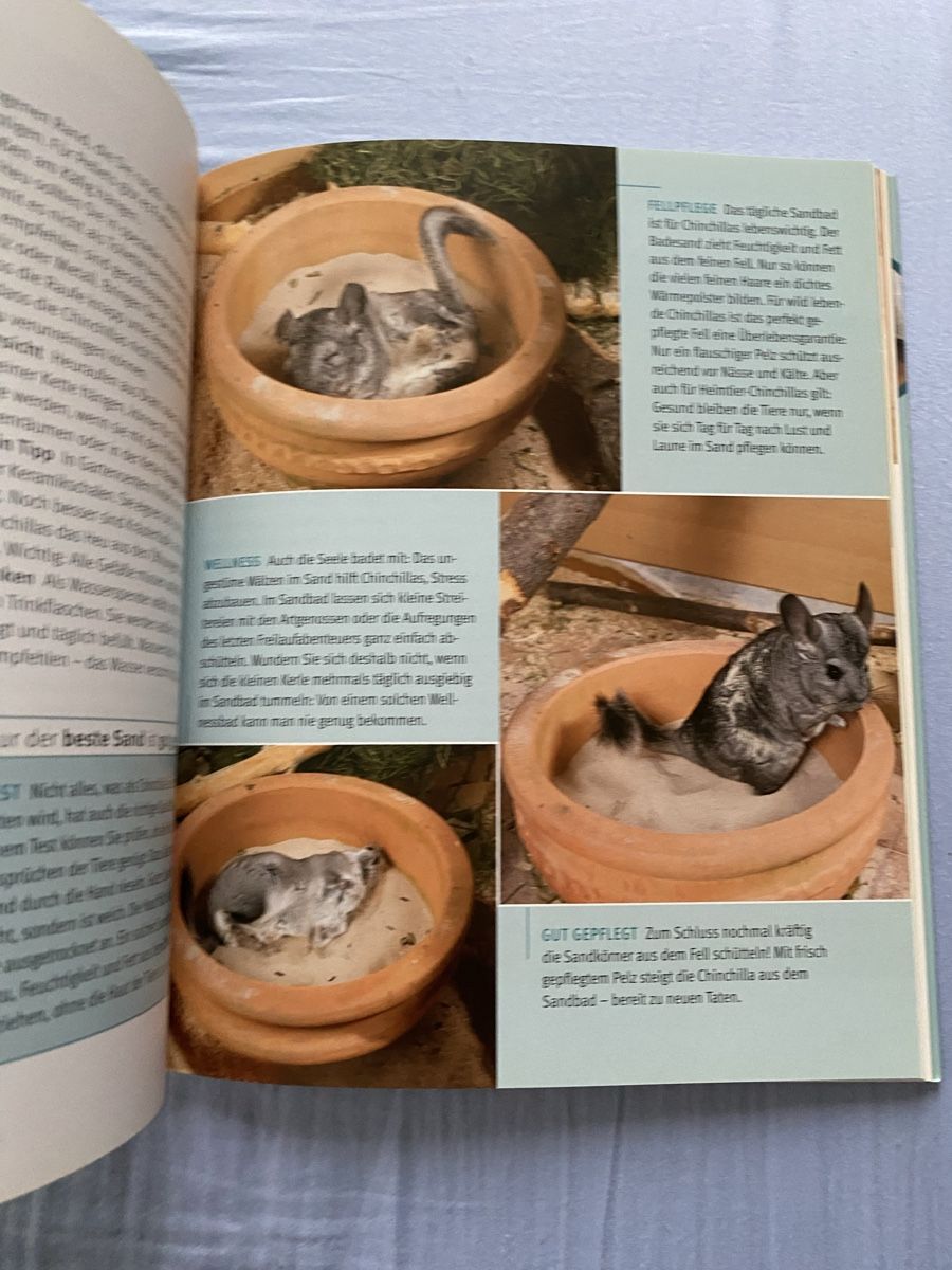 Bücher: Chinchillas Buch – Neu (gemäss Beschreibung) aus Seewen SZ von shaky01 2