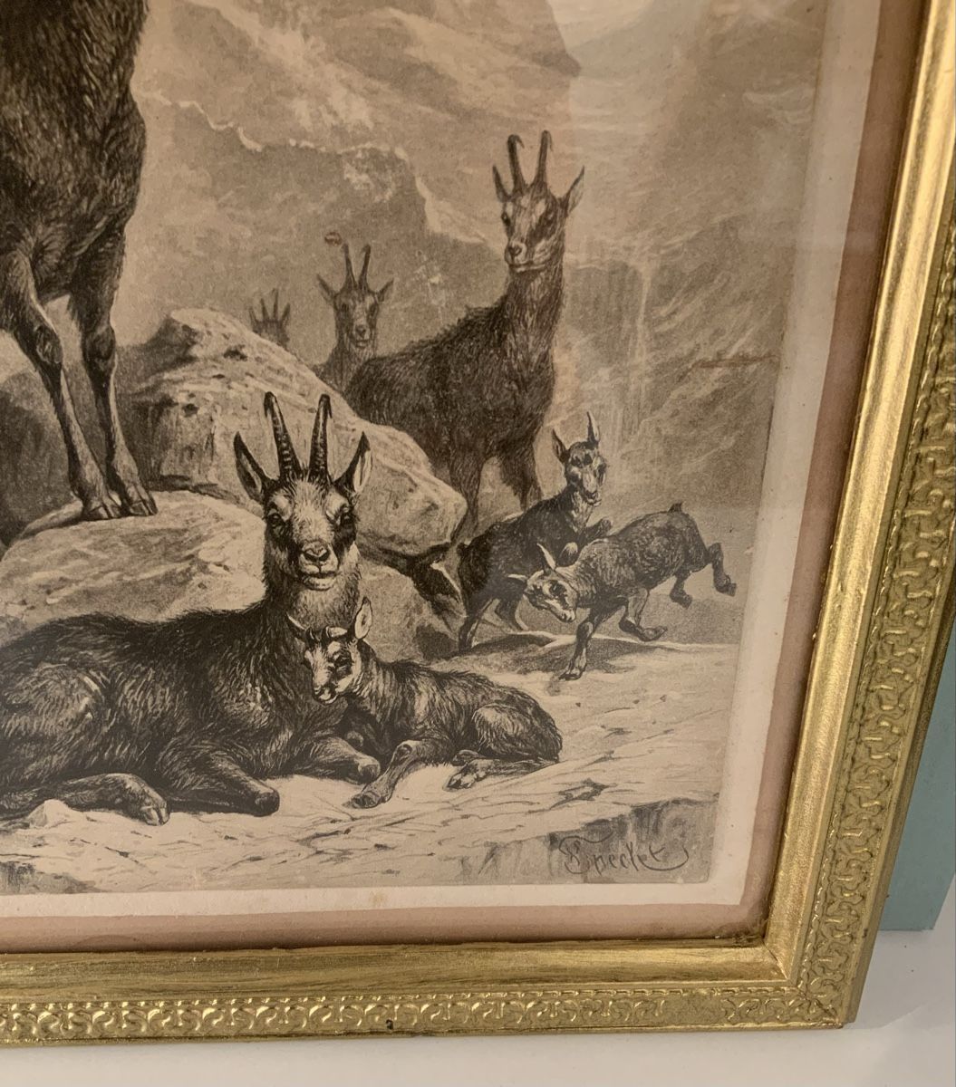 Gemälde: Tableau avec chamois signé Frédéric Specht – Gebraucht aus rolle von Tontonjulot 4