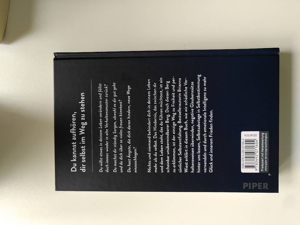 Libri: The Mountain is you – Usato da Solothurn venduto da Blume132 1