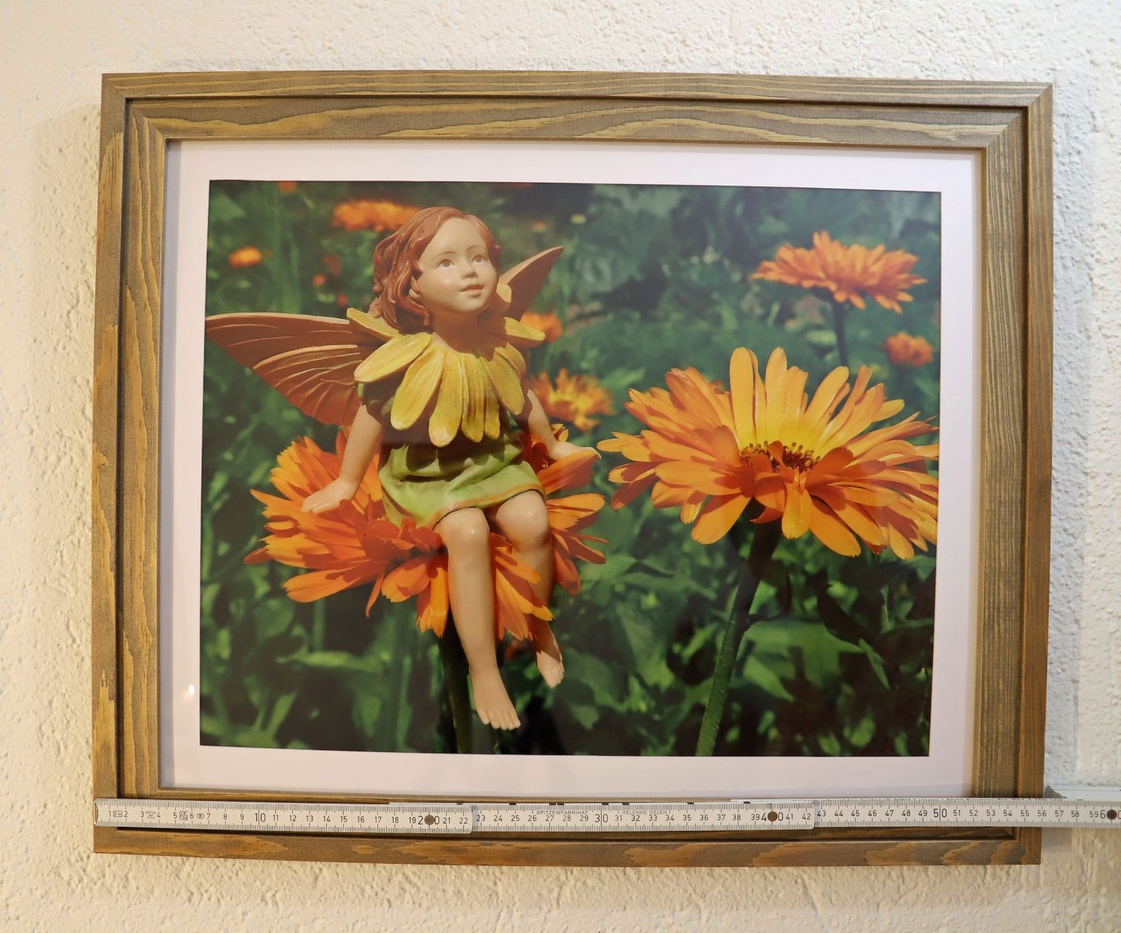 Foto & Immagini: Elfen-Bild Ringelblume (Fotobild plus Holzrahmen) – Nuovo (secondo la descrizione) da Volketswil venduto da greifensee11511 1