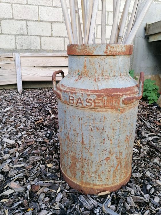 Milchkanne / Stahl / Gartendeko / Pflanzgefäss / Basel Kaufen auf Ricardo