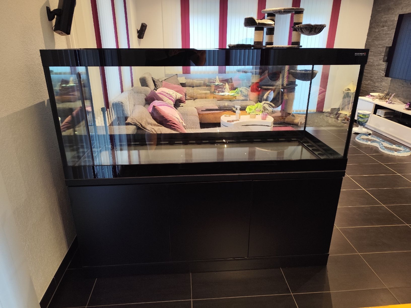 Aquarium: Aquarium 600l  – Gebraucht aus Saas-Balen von jng_rzg5 5