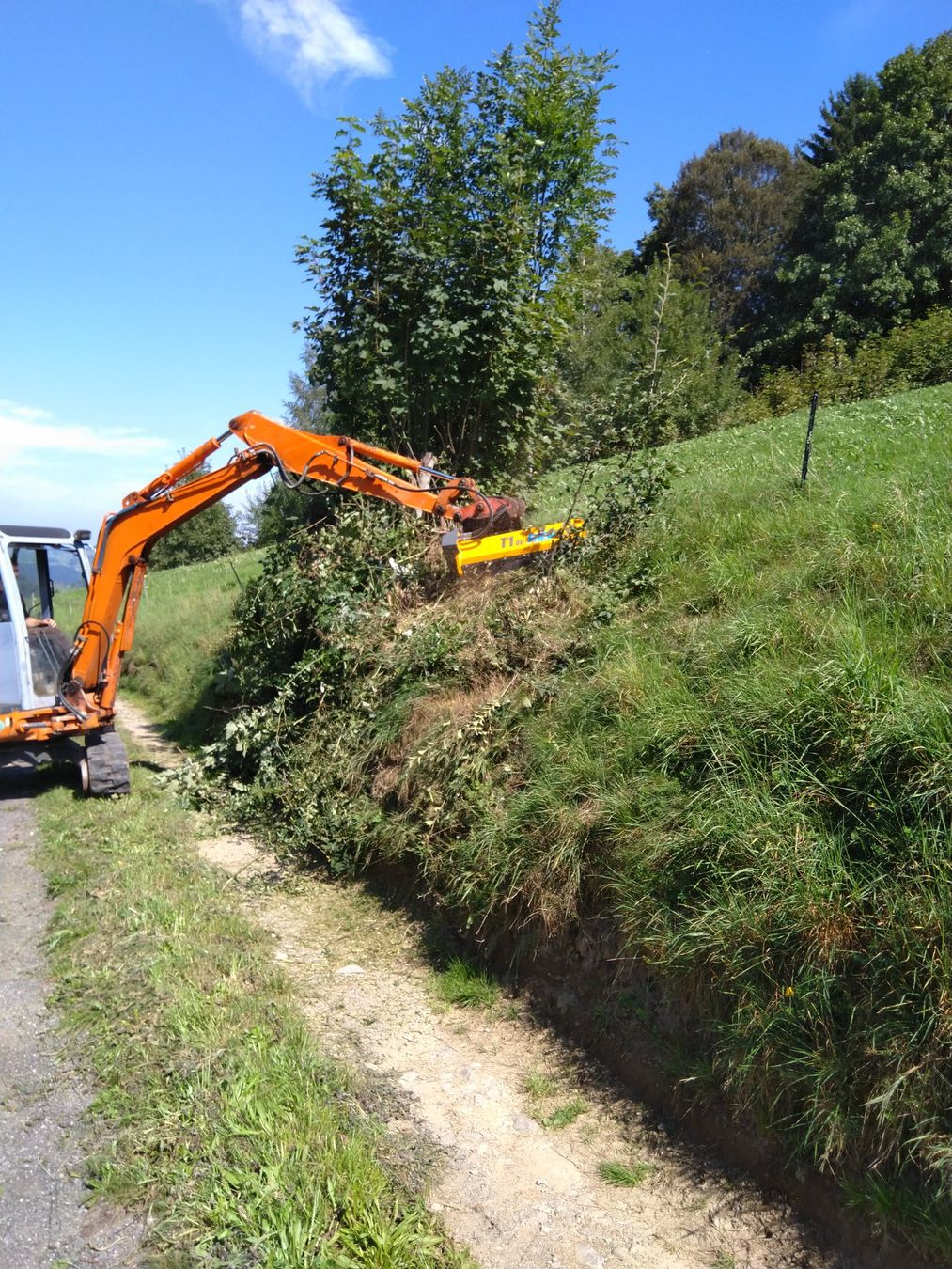 Bagger: Mulcher zu Bagger 0.8 - 1.5 T – Neu (gemäss Beschreibung) aus Kastanienbaum von acapulco 4