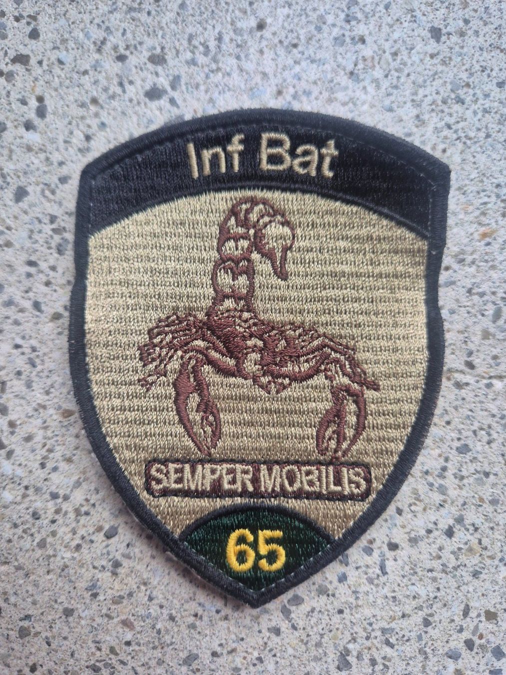 Schweizer Armee Placchette & Badge: *** Badge Inf Bat 65 mit klett *** – Usato da Riedholz venduto da fr_sIruP