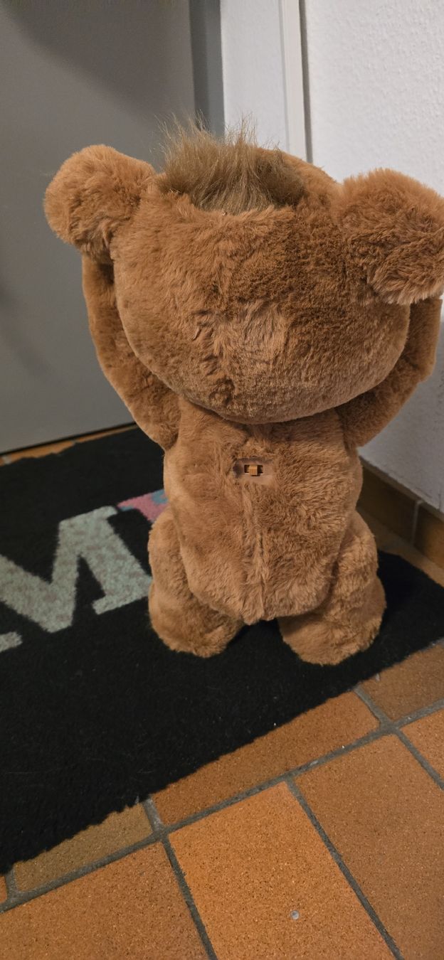 FurReal Spielzeuge: FurReal Cubby Bär – Gebraucht aus Basel von Nerea07 1