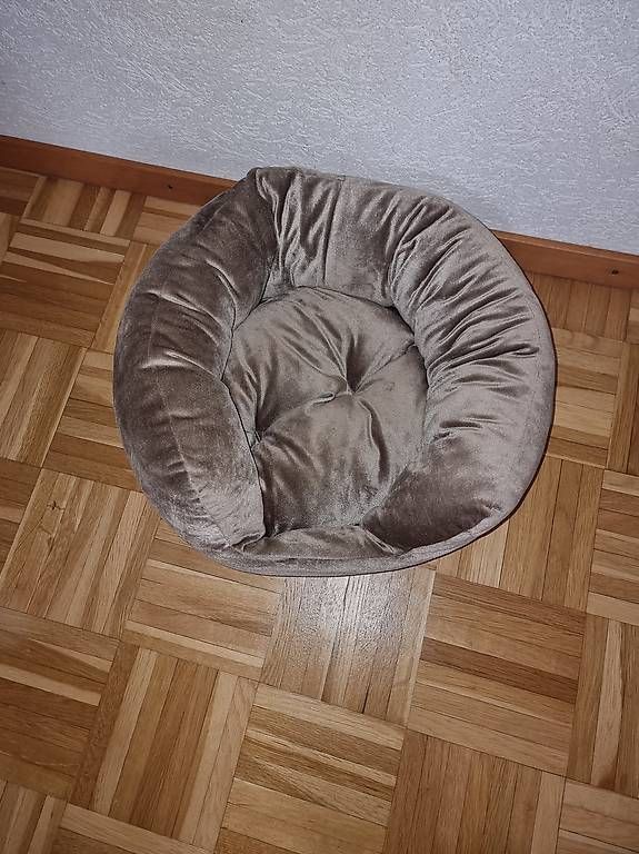 Cucce & Letti: Panier petit chien – Usato da Apples venduto da hur_2hhs