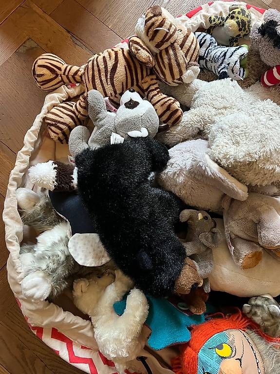 Jouets: Rund 30 Stofftiere – D'occasion à Zürich par cat 4