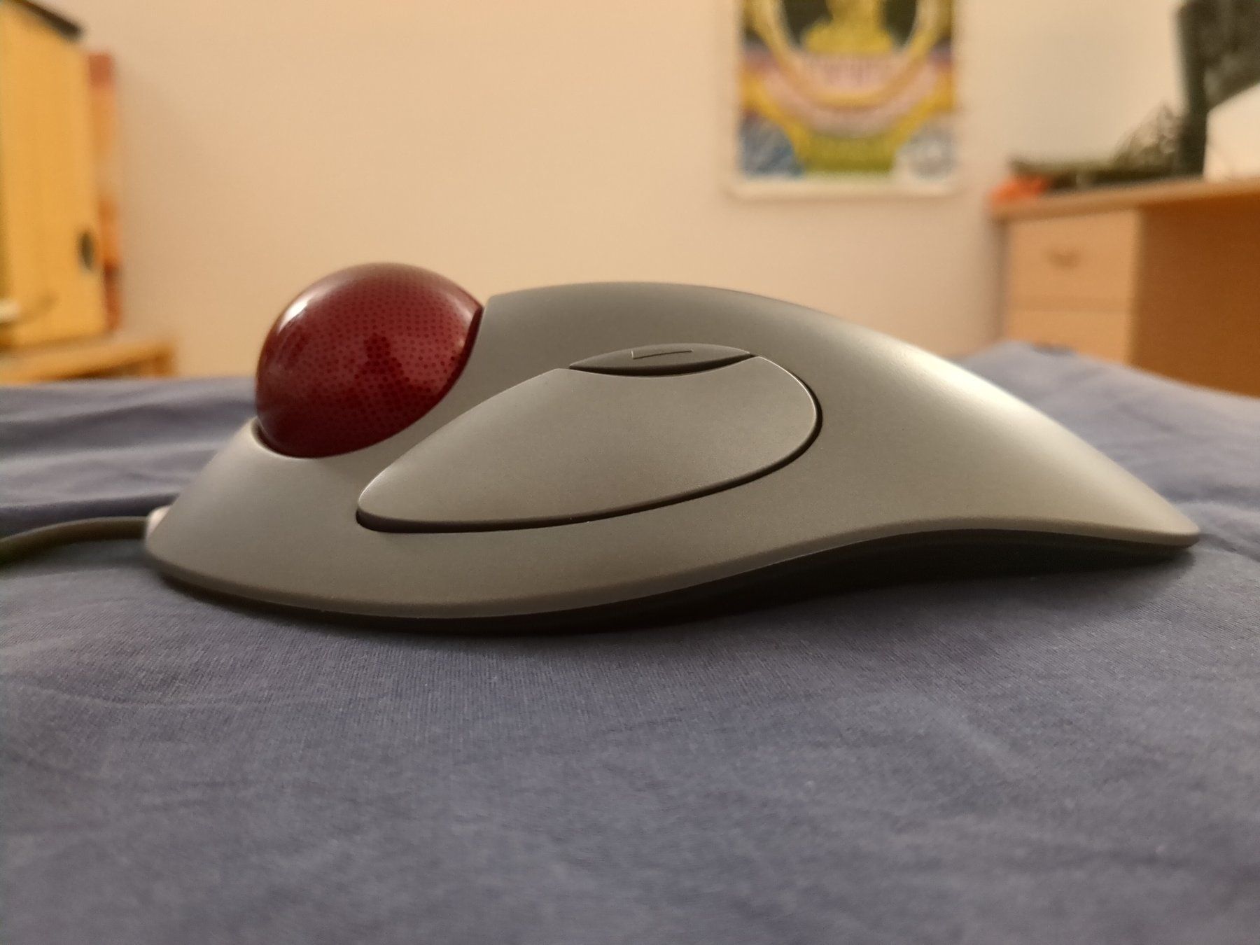 Logitech Maus: Logitech Trackman Marble: mehr als eine Maus! – Gebraucht aus Lausanne von Urbem