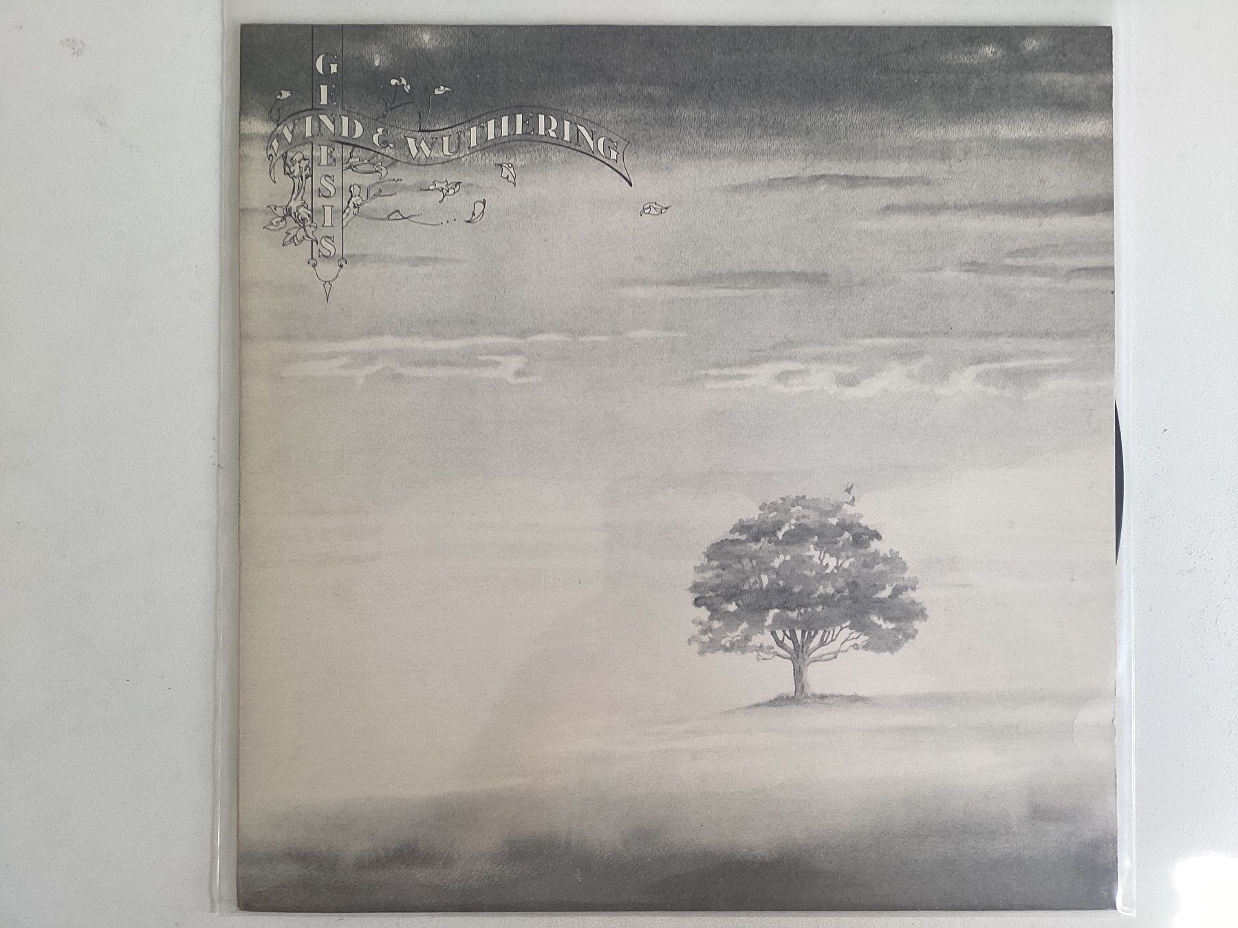 Dischi in vinile: Genesis LP - Wind And Wuthering – Usato da Gutenswil venduto da Hamzian