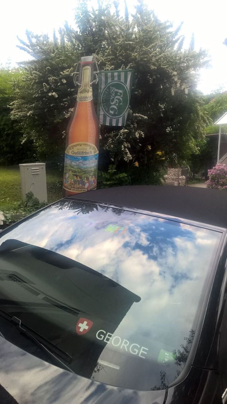 Altro in Stoviglie & Bicchieri: Grosse Quöllfrösch Kunststoff Flasche – Usato da Teufenthal AG venduto da speaker26 1