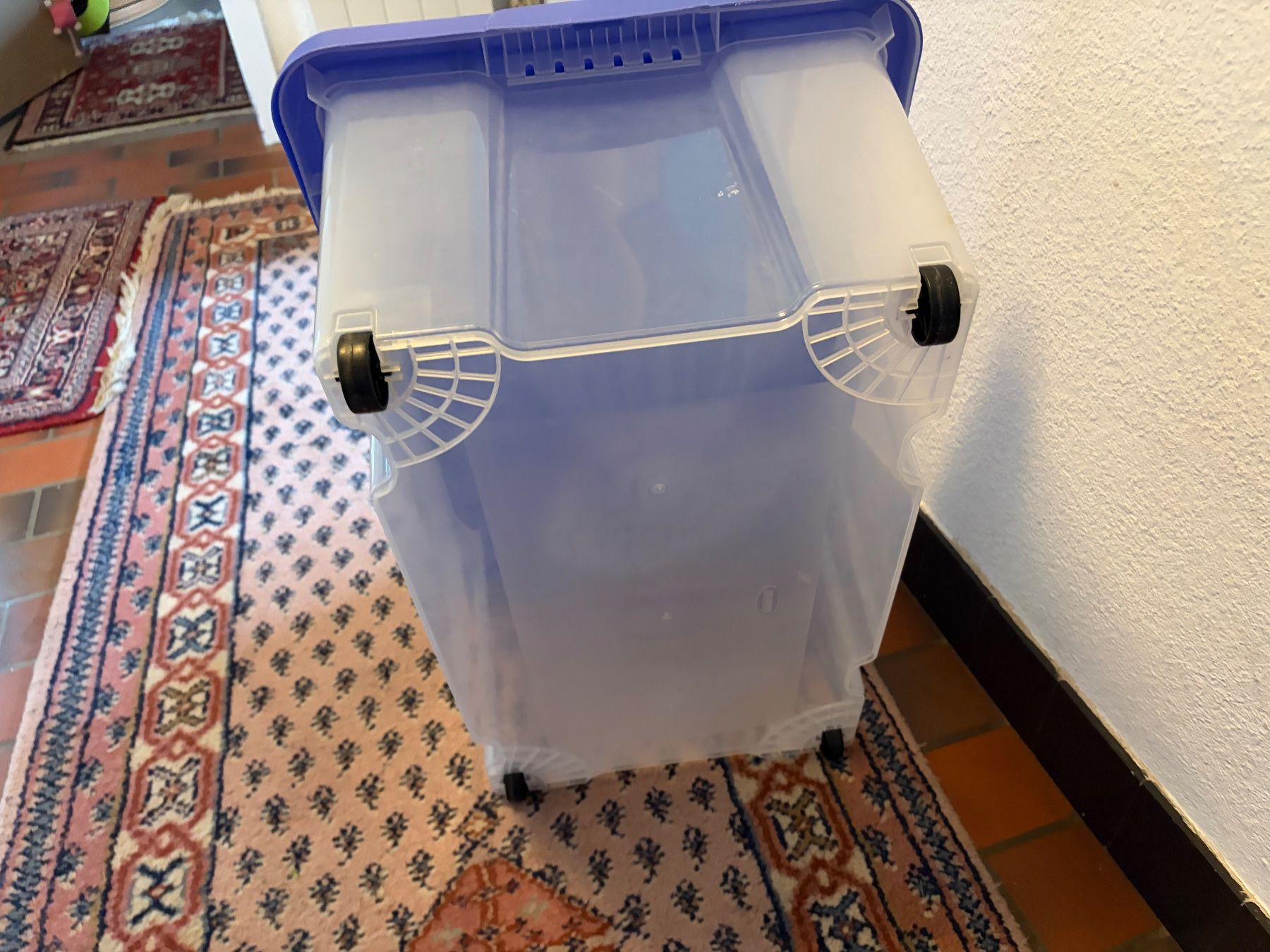 Contenitori & Simili: Kunststoffbox 43 L mit Rädli – Usato da Obergösgen venduto da Andre118 2