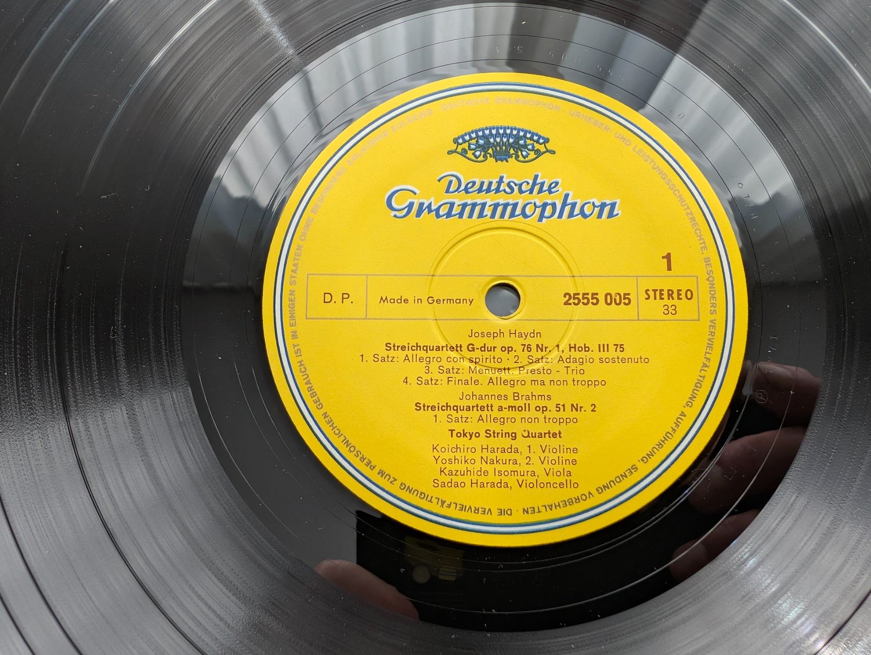 Dischi in vinile: DGG Debut - 2x in NM – Usato da Ebikon venduto da kisuM 5