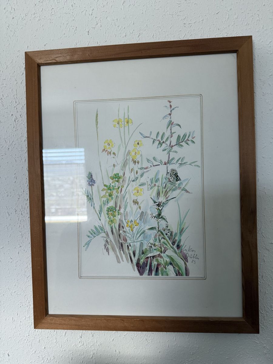 Foto & Immagini: Aquarell "Frühlingsblumen" Lukas Düblin – Usato da Nunningen venduto da Taissen