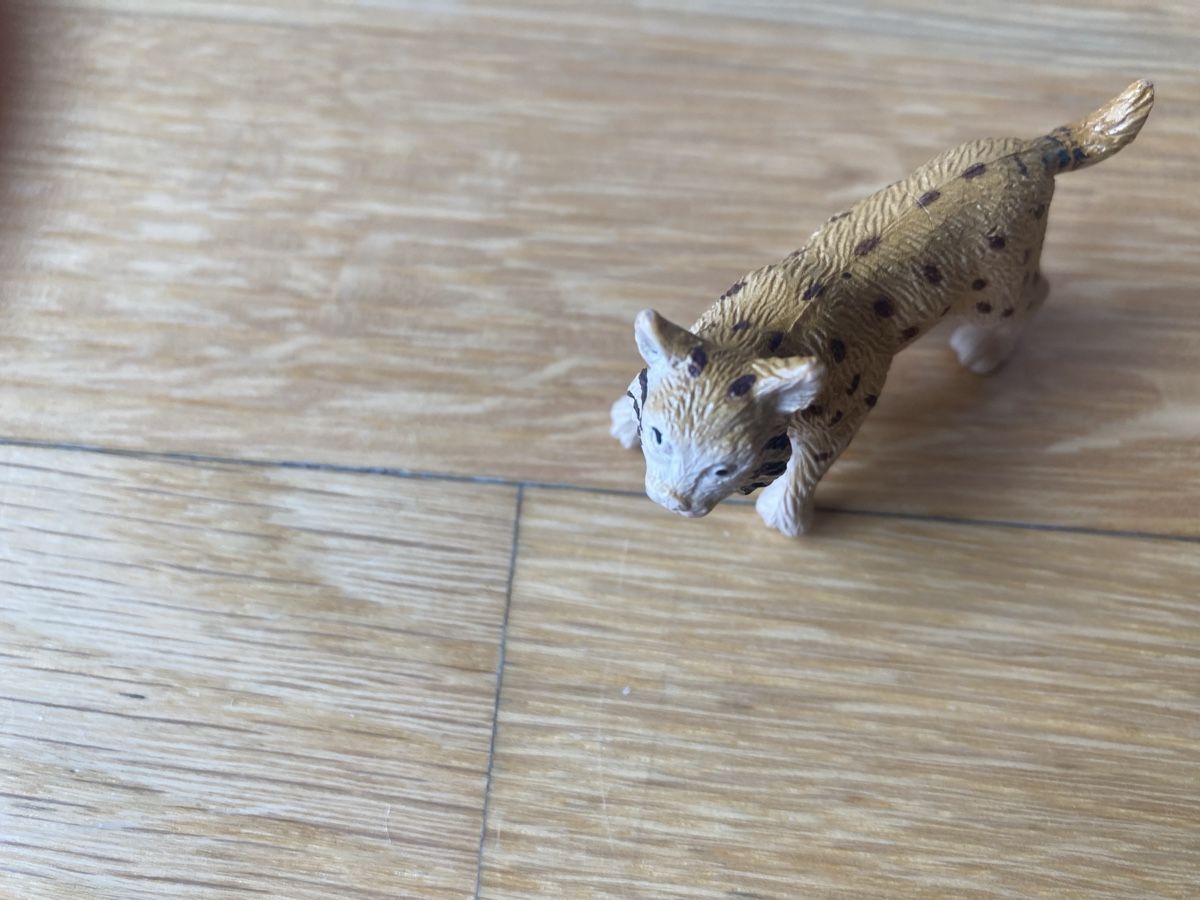 Schleich Figuren: Schleich Tier Model set – Neu (gemäss Beschreibung) aus sion von orchikorchik 3