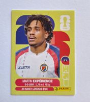 Panini Martin Expérience HAI 4