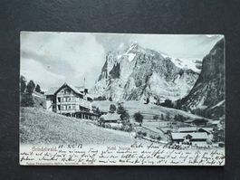 AK 1913 Grindelwald Hotel Alpina  gelaufen (G3796)