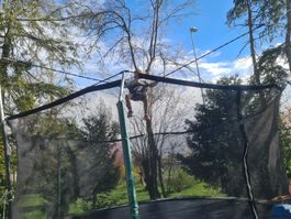 Bungy Trampolin neu original verpackt, bis 100 Kg