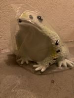 Neuer Frosch Deko Figur mit Froschgeräusch