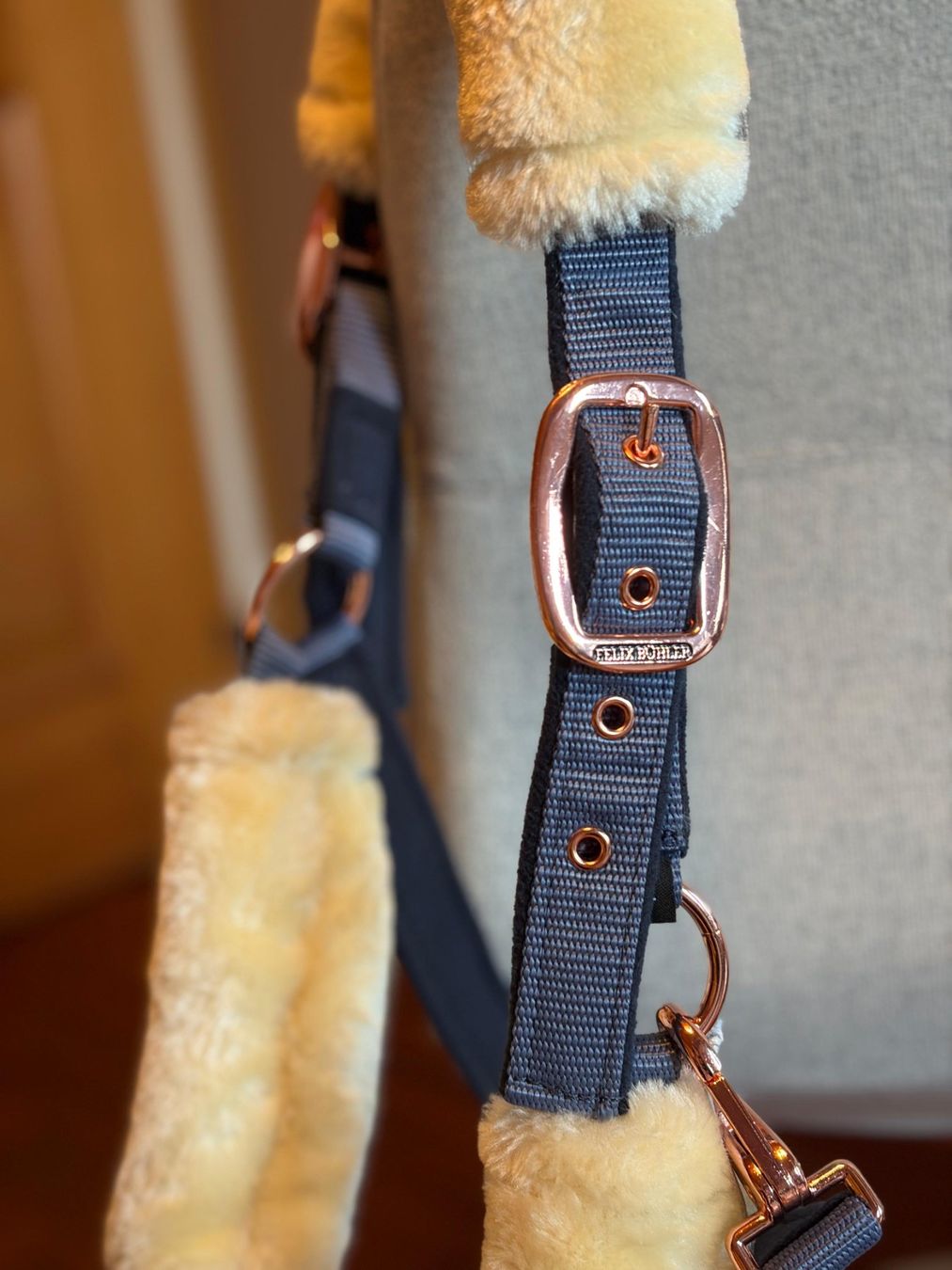 Briglie & Cavezze: Felix Bühler Winterhalfter Grösse Full Neu! Top! – Nuovo (secondo la descrizione) da Watt venduto da Nine5 1