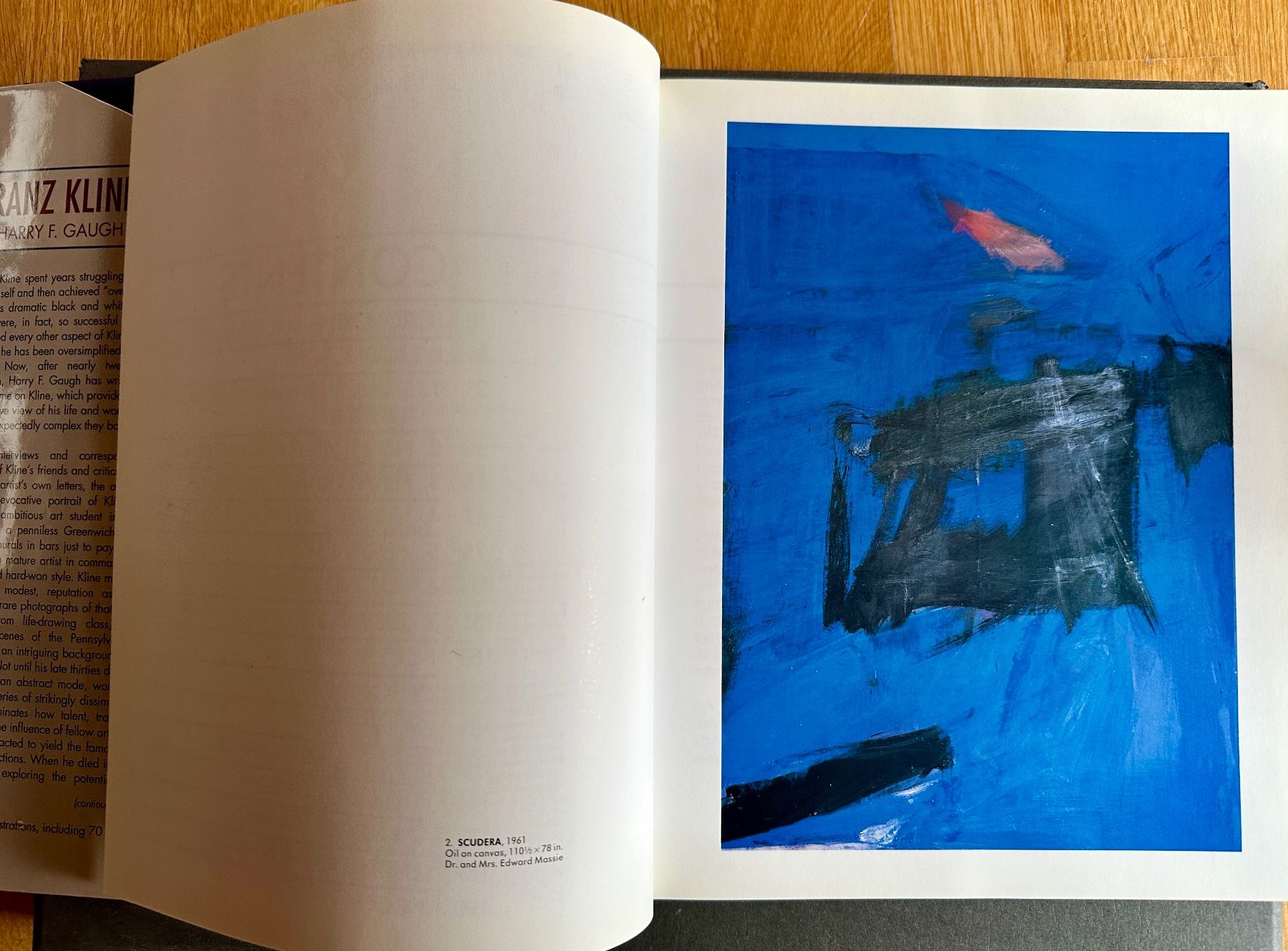 Bücher: Harry F. Gaugh: Franz Kline. – Gebraucht aus Zürich von allp 4