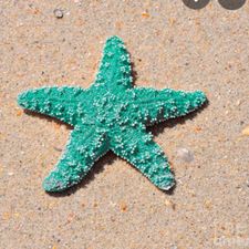 Profile image of seastar777