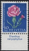 50 Rp. Gartennelke mit TAB (Dianthus caryophyllus)