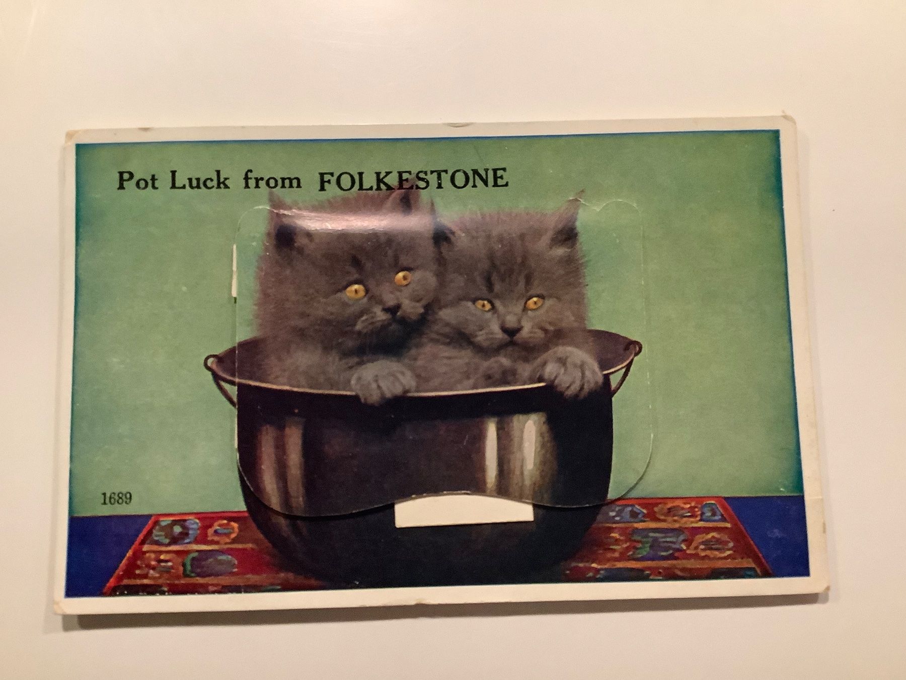 Cartoline postali: Schöne LEPORELLO Ansichtskarte Katzen Folkstone – Usato da Lufingen venduto da Rac0 2