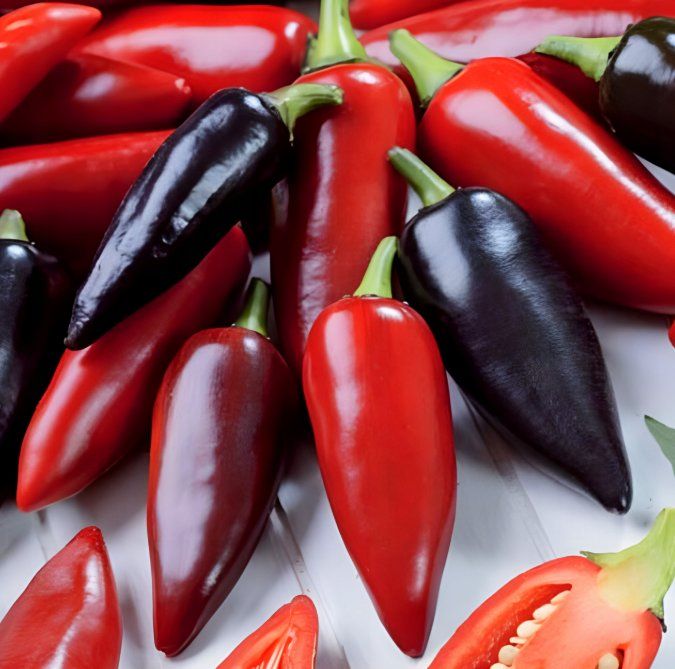 Piante & sementi: Azteco CHILI  / Pflanze mit schwarzem Laub – Nuovo (secondo la descrizione) da Hinteregg venduto da ERFOLG78 2