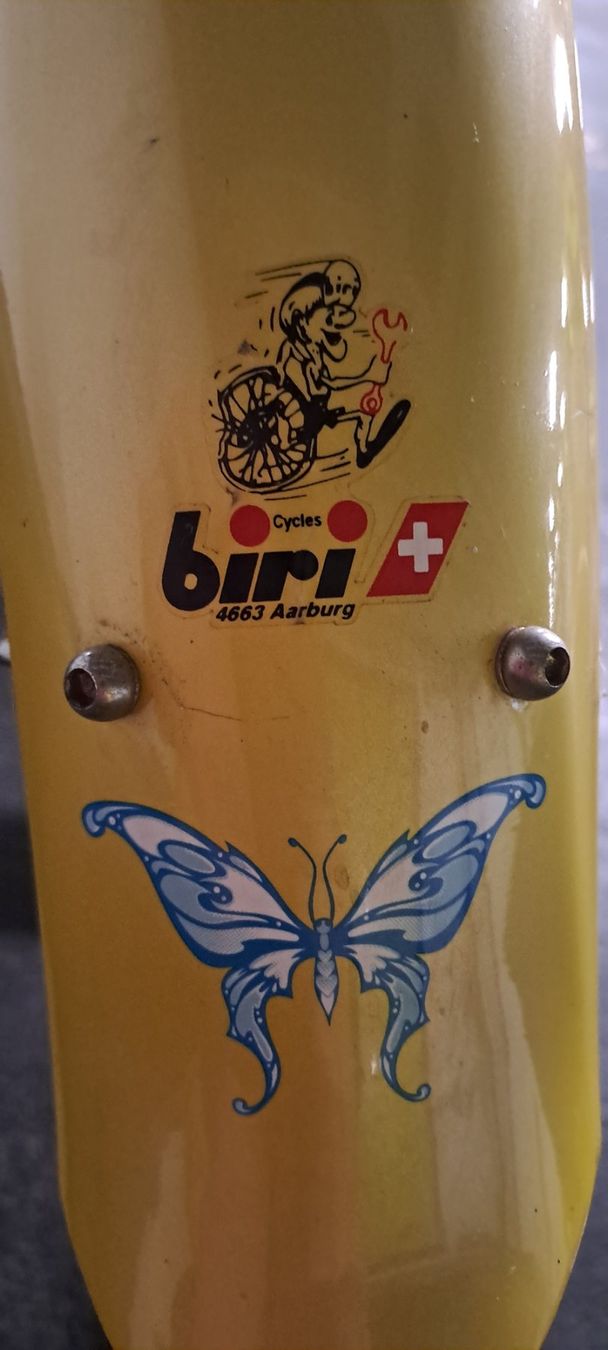 Felt Biciclette: Felt Cruiser Fahrrad – Usato da Oensingen venduto da Rinchen 7