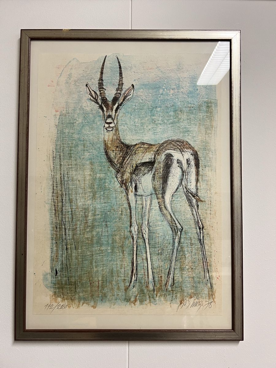 Grafica & Litografie: Fritz hug original Lithographie Antilope – Usato da Hombrechtikon venduto da vespa1954