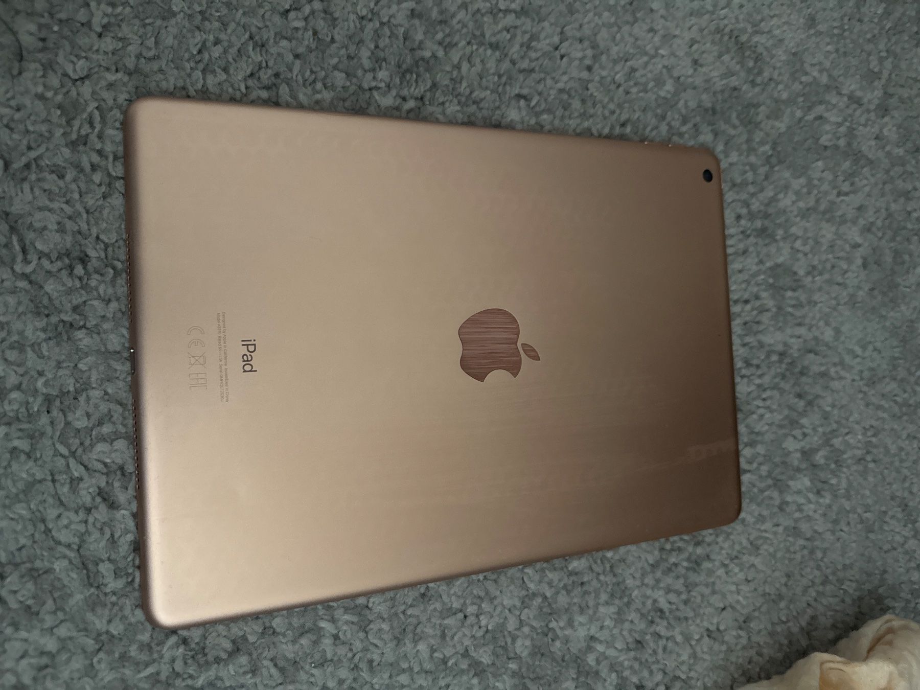 Apple Tablet PC: iPad 8. Generation – Usato da Steinhausen venduto da den_9rkv 1