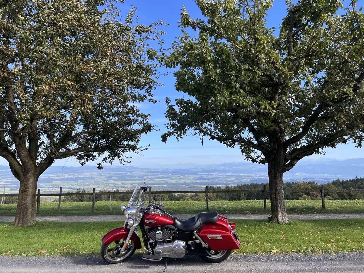 Chopper: Harley Davidson FLD Dyna – Usato da Zufikon venduto da Wunschoase7 1