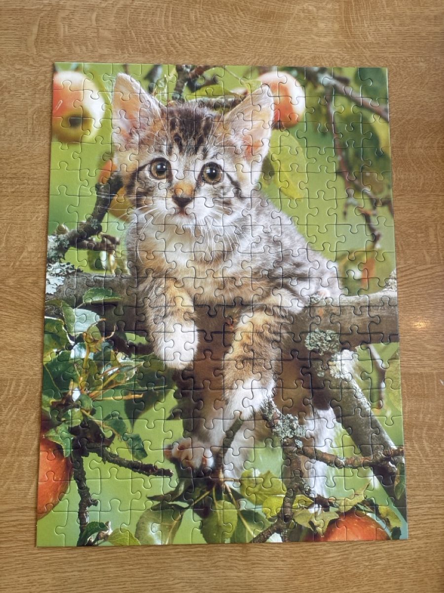 Ravensburger Puzzle: Ravensburger Puzzle Katze XXL 200 Teile – Usato da Lotzwil venduto da kie_fdq8 1