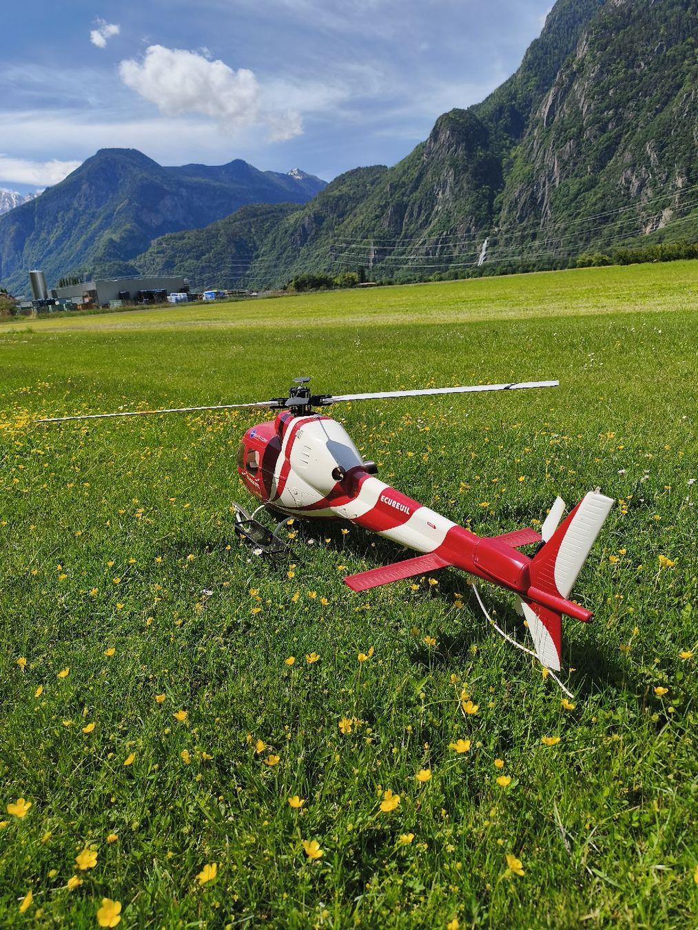 Modellismo RC: Écureil RC Raptor E550 – Usato da Martigny venduto da SteveHC1920 3