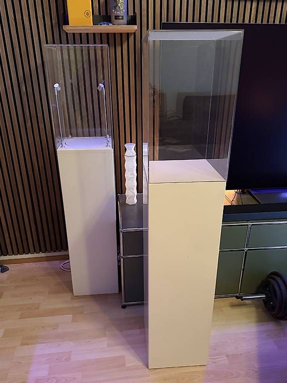 Altro in Decorazioni & Accessori: Galeriesockel mit Plexiglashaube – Usato da Basel venduto da Pfischti02 2