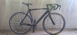 Kuota Credo (1.74cm) voll Carbon