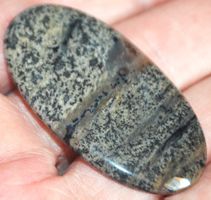 Cabochon L-4545 – Dendriten Opal – ca. 49x26,5mm