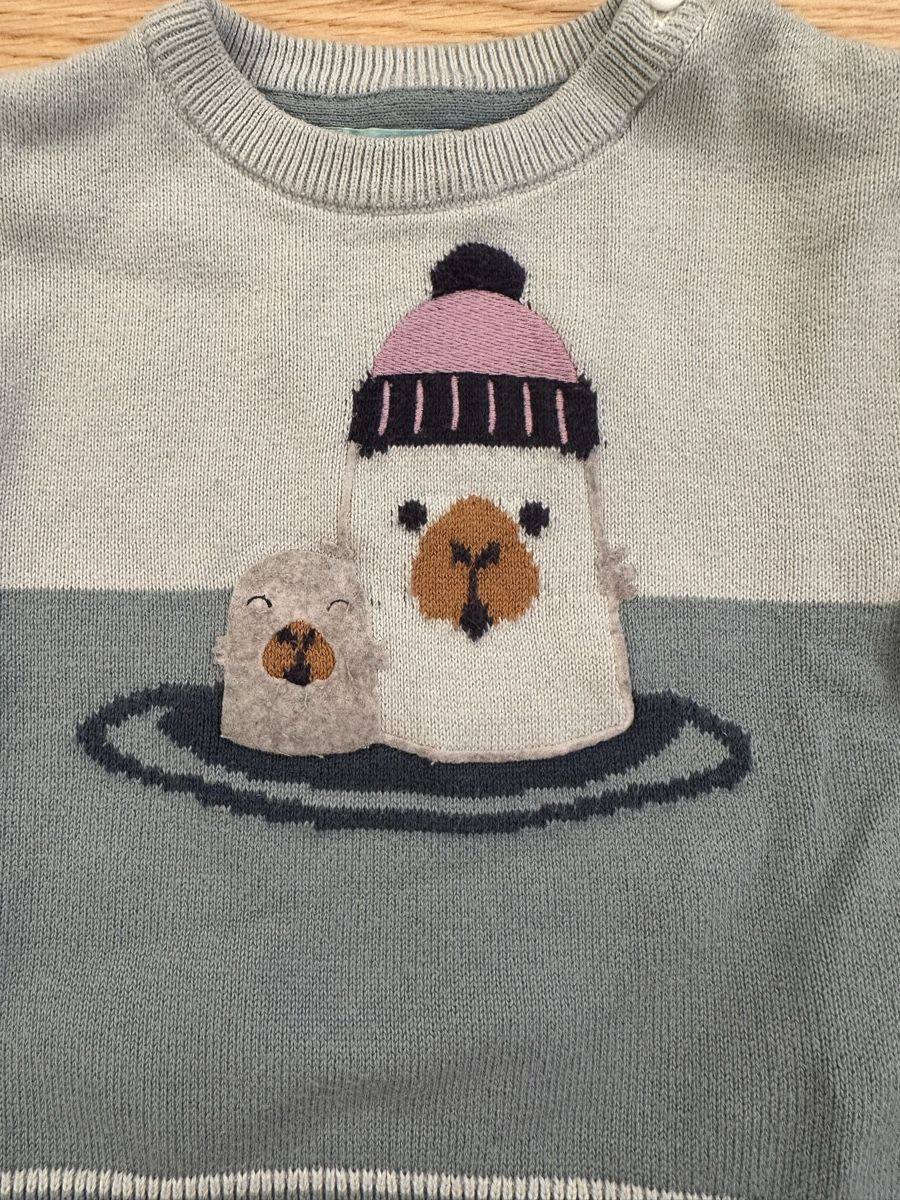 Maglioni & Felpe: Kinder Pullover Obaïbi Grösse 3M mit Robbenmotiv hellblau – Usato da Zürich venduto da emily.sch 3