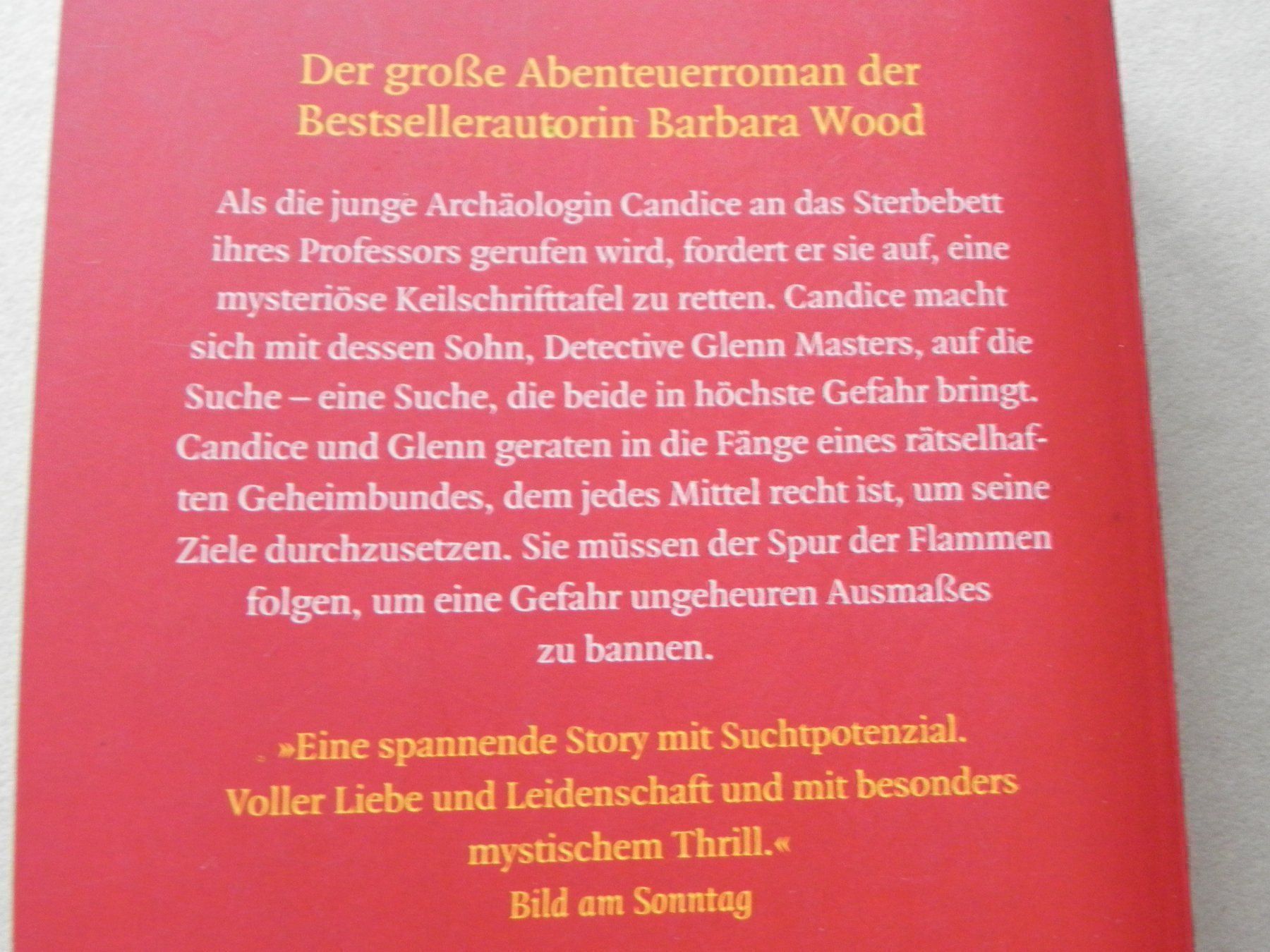 Libri: 6 Taschenbücher Triller versch. Autoren – Usato da Siebnen venduto da krimsie 6