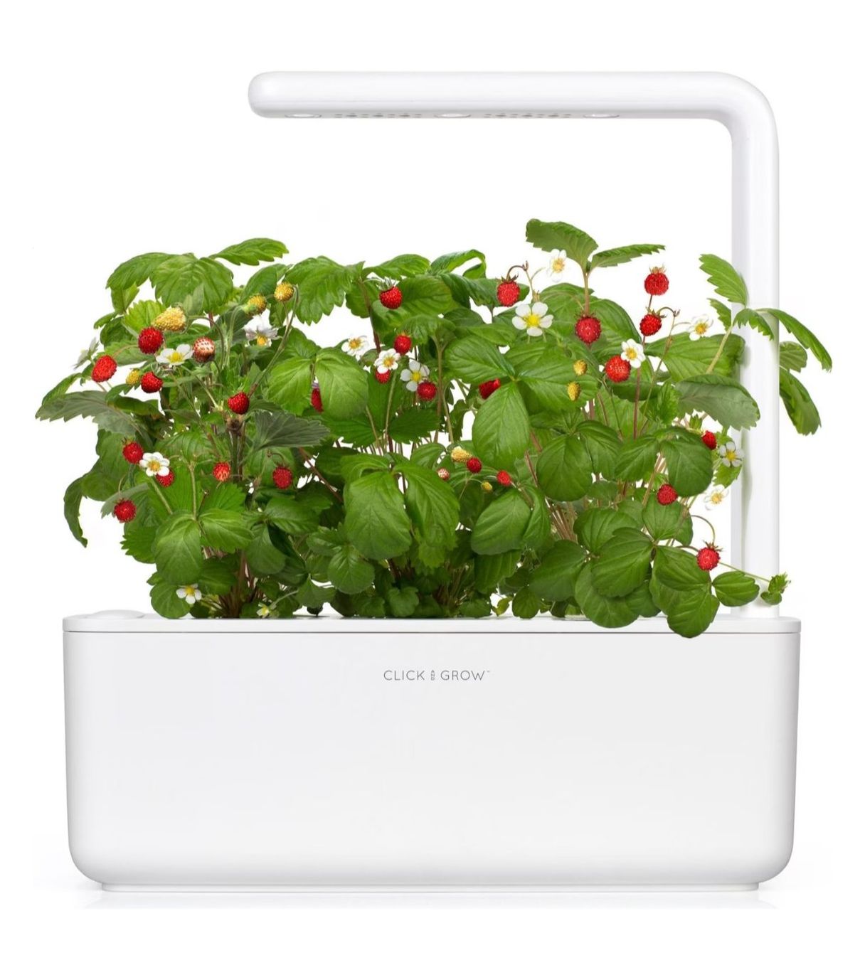 Click and Grow Blumentöpfe: Click and Grow Smart Garden 3 – Gebraucht aus Uster von AtteDo 2