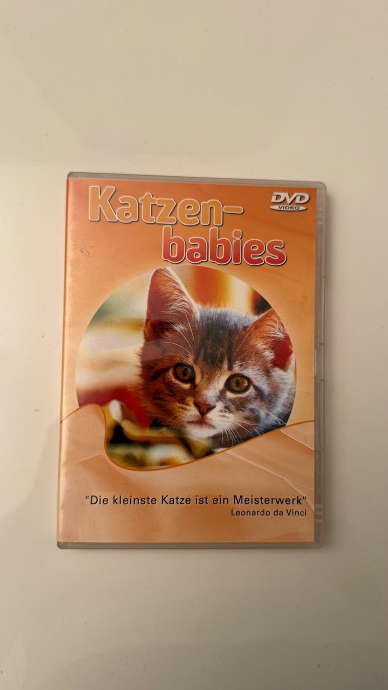 Tutti i DVDs: Katzenbabys DVD Tierdoku Katzen – Usato da Schindellegi venduto da zeitlos.vintage