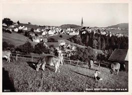 Kurort Rehetobel, belebt, Kuhherde, gelaufen 1963